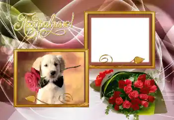 Napis na ramce: Gratulacje! Napis na ramce: Gratulacje!