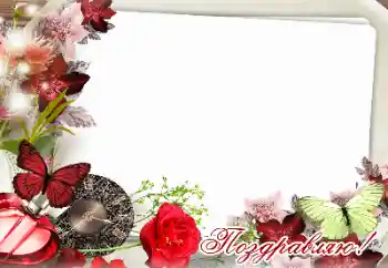 Napis na ramce: Gratulacje! Napis na ramce: Gratulacje!