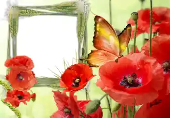 Napis na ramce: Victory in Europe Day