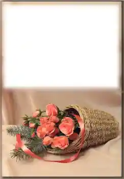 Efekt zdjęciowy z kategorii Różne święta № 171774 Efekt zdjęciowy z kategorii Różne święta № 171774