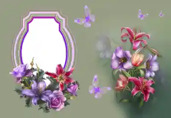 Napis na ramce: Gratulacje! Napis na ramce: Gratulacje!