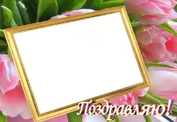 Napis na ramce: Gratulacje!