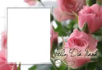 Napis na ramce: Życzenia zokazji Dnia Matki