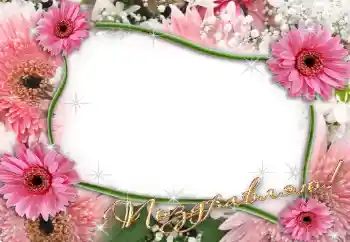 Napis na ramce: Gratulacje!