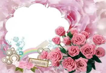 Napis na ramce: Gratulacje!