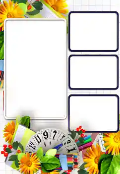 Efekt zdjęciowy z kategorii Różne szkolne № 154388 Efekt zdjęciowy z kategorii Różne szkolne № 154388