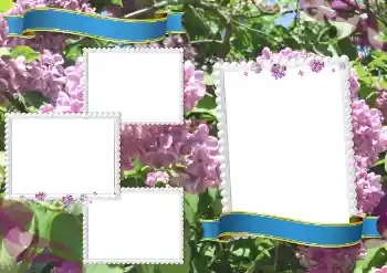 Efekt zdjęciowy z kategorii Różne szkolne № 205334 Efekt zdjęciowy z kategorii Różne szkolne № 205334