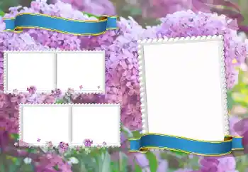 Efekt zdjęciowy z kategorii Różne szkolne № 205350 Efekt zdjęciowy z kategorii Różne szkolne № 205350