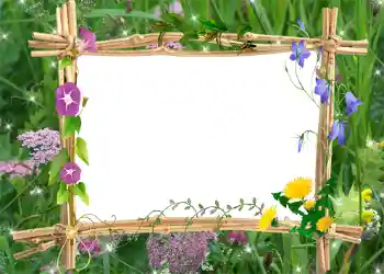 Efekt zdjęciowy z kategorii Lato № 1001 Efekt zdjęciowy z kategorii Lato № 1001