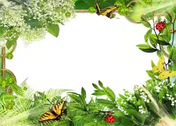 Efekt zdjęciowy z kategorii Lato № 1109 Efekt zdjęciowy z kategorii Lato № 1109