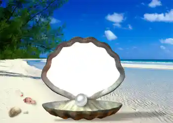 Efekt zdjęciowy z kategorii Lato № 1111 Efekt zdjęciowy z kategorii Lato № 1111