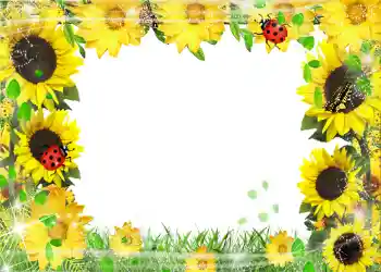 Efekt zdjęciowy z kategorii Lato № 1113 Efekt zdjęciowy z kategorii Lato № 1113