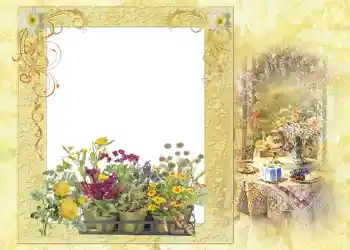 Efekt zdjęciowy z kategorii Lato № 1121 Efekt zdjęciowy z kategorii Lato № 1121