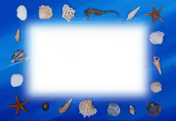 Efekt zdjęciowy z kategorii Lato № 113121 Efekt zdjęciowy z kategorii Lato № 113121