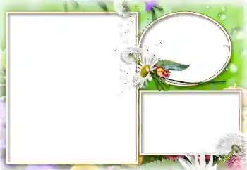 Efekt zdjęciowy z kategorii Lato № 114273 Efekt zdjęciowy z kategorii Lato № 114273