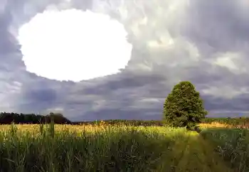 Efekt zdjęciowy z kategorii Lato № 114385 Efekt zdjęciowy z kategorii Lato № 114385