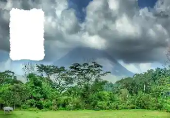 Efekt zdjęciowy z kategorii Lato № 114456 Efekt zdjęciowy z kategorii Lato № 114456