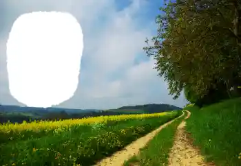 Efekt zdjęciowy z kategorii Lato № 114551 Efekt zdjęciowy z kategorii Lato № 114551