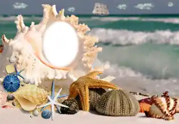 Efekt zdjęciowy z kategorii Lato № 115806 Efekt zdjęciowy z kategorii Lato № 115806