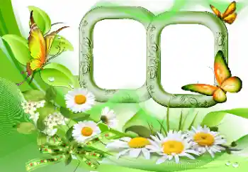 Efekt zdjęciowy z kategorii Lato № 115844 Efekt zdjęciowy z kategorii Lato № 115844