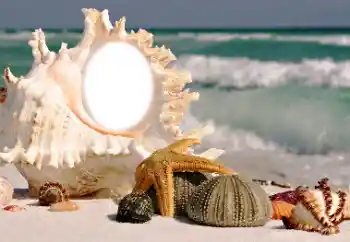 Efekt zdjęciowy z kategorii Lato № 116085 Efekt zdjęciowy z kategorii Lato № 116085