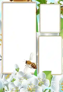 Efekt zdjęciowy z kategorii Lato № 116125 Efekt zdjęciowy z kategorii Lato № 116125