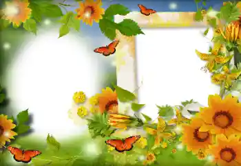 Efekt zdjęciowy z kategorii Lato № 116126