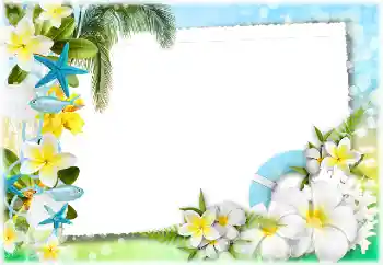 Efekt zdjęciowy z kategorii Lato № 117734 Efekt zdjęciowy z kategorii Lato № 117734