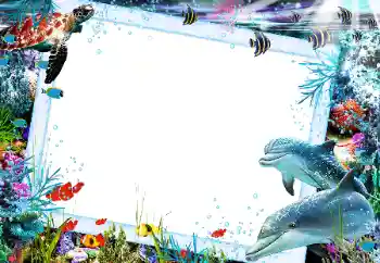 Efekt zdjęciowy z kategorii Lato № 121106 Efekt zdjęciowy z kategorii Lato № 121106