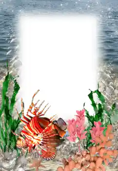 Efekt zdjęciowy z kategorii Lato № 121109 Efekt zdjęciowy z kategorii Lato № 121109