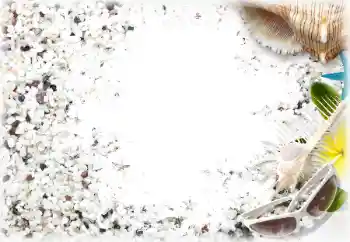 Efekt zdjęciowy z kategorii Lato № 122178 Efekt zdjęciowy z kategorii Lato № 122178