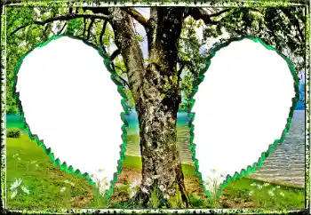 Efekt zdjęciowy z kategorii Lato № 123182 Efekt zdjęciowy z kategorii Lato № 123182