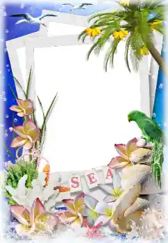 Efekt zdjęciowy z kategorii Lato № 124282 Efekt zdjęciowy z kategorii Lato № 124282