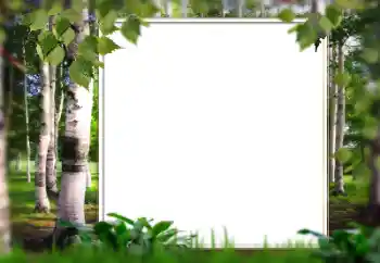 Efekt zdjęciowy z kategorii Lato № 128567 Efekt zdjęciowy z kategorii Lato № 128567