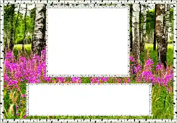 Efekt zdjęciowy z kategorii Lato № 131011