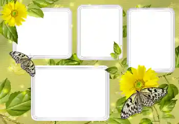 Efekt zdjęciowy z kategorii Lato № 131450 Efekt zdjęciowy z kategorii Lato № 131450