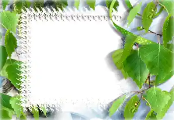 Efekt zdjęciowy z kategorii Lato № 132911 Efekt zdjęciowy z kategorii Lato № 132911