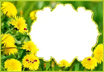 Efekt zdjęciowy z kategorii Lato № 132994 Efekt zdjęciowy z kategorii Lato № 132994