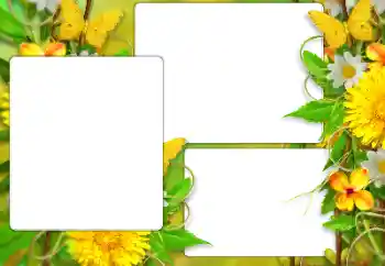 Efekt zdjęciowy z kategorii Lato № 138523 Efekt zdjęciowy z kategorii Lato № 138523