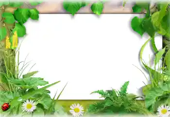 Efekt zdjęciowy z kategorii Lato № 138647 Efekt zdjęciowy z kategorii Lato № 138647