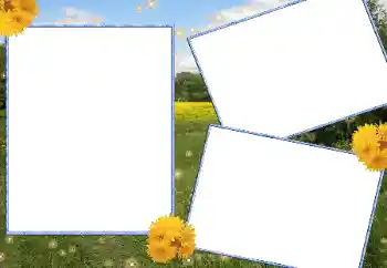 Efekt zdjęciowy z kategorii Lato № 13915