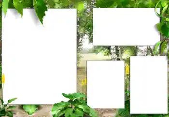 Efekt zdjęciowy z kategorii Lato № 141163