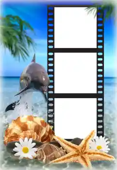 Efekt zdjęciowy z kategorii Lato № 142225 Efekt zdjęciowy z kategorii Lato № 142225