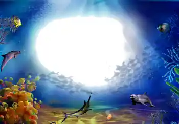 Efekt zdjęciowy z kategorii Lato № 142470