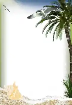 Efekt zdjęciowy z kategorii Lato № 149037