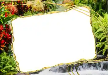 Efekt zdjęciowy z kategorii Lato № 14917 Efekt zdjęciowy z kategorii Lato № 14917