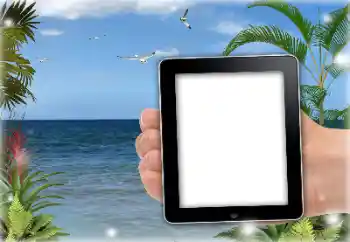 Efekt zdjęciowy z kategorii Lato № 151651