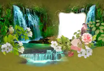 Efekt zdjęciowy z kategorii Lato № 153156