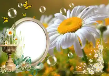 Efekt zdjęciowy z kategorii Lato № 153157