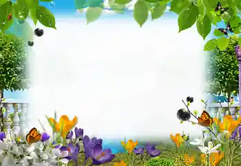 Efekt zdjęciowy z kategorii Lato № 153205